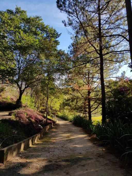 Recanto Dos Beija Flores, Chale Lantana C Monte Alegre do Sul Kültér fotó